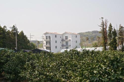 Hotel Jeju Yilin Pension