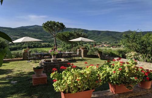 Villa Rinaldo