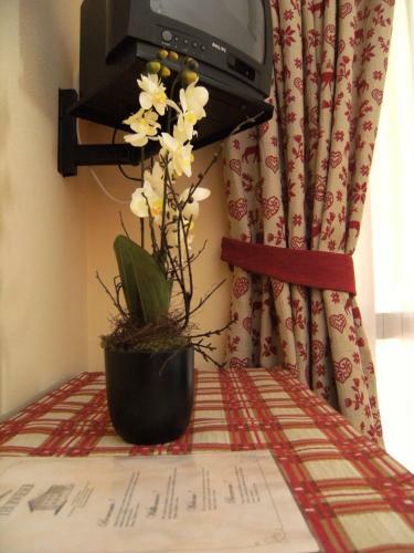 Hotel Garni Thurwieser - B&B