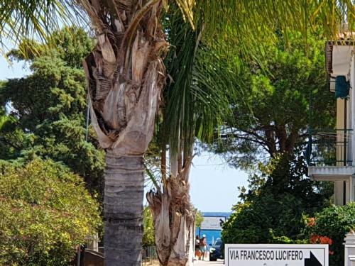 Villetta A Schiera Mare Jonio