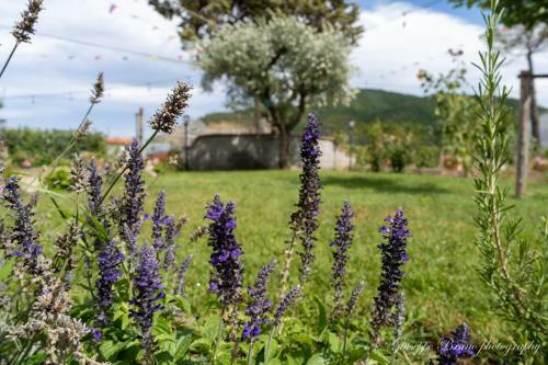 Bed & Breakfast L'antico Mercato