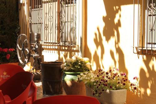 Hostal Tivissa