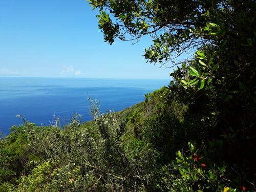 Apartamento Appartamento A San Vincenzo