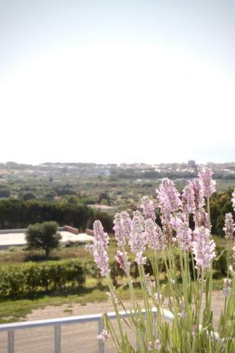 Agroturismo La Suite Del Conte