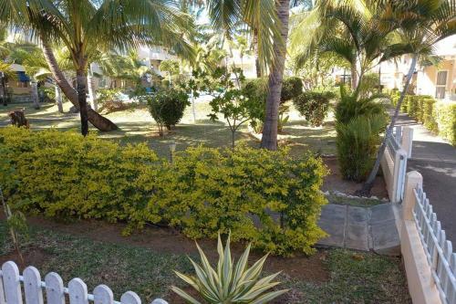 Apartamento Le Dattier Holidays