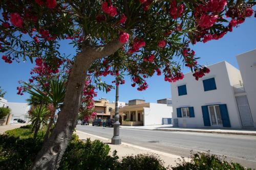 Apartamento Coral Holiday San Vito Lo Capo