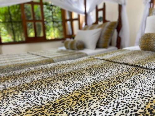 Tembo Court 2 Bedroom Apartment
