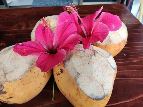 Apartamento Riverside Mount Simpson - Seychelles Island