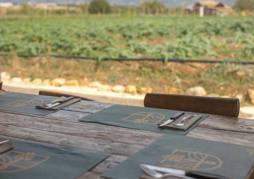 Agroturismo Casa Agricola Scorziello