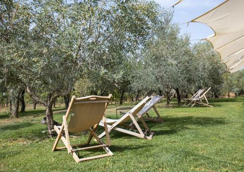Agroturismo Casa Agricola Scorziello