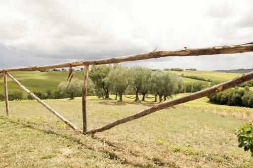 Apartamento Tenuta Tredici Ulivi