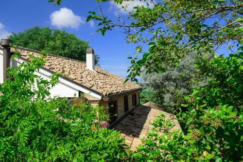 Agroturismo Barbagianni