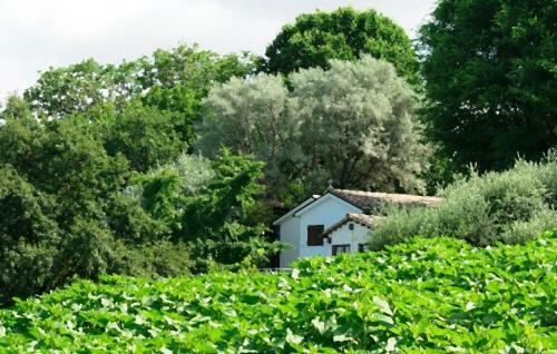 Agroturismo Barbagianni