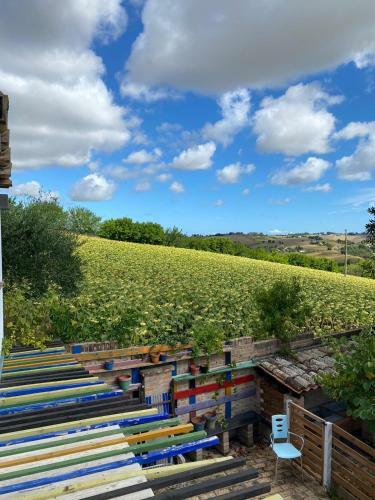 Agroturismo Barbagianni
