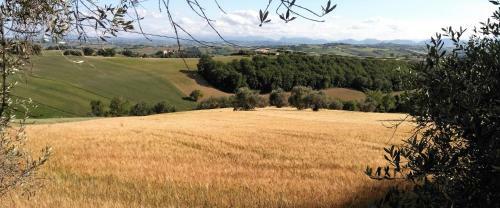 Agroturismo Barbagianni
