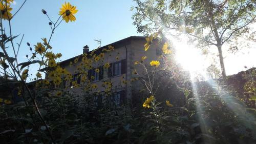 Bed & Breakfast Fattoria La Guedrara