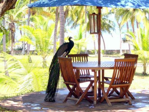 Villa Kaskazi Beach House