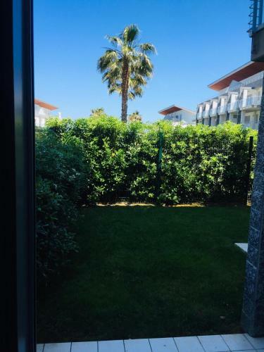 Apartamento Le Dune, Un Modo Di Rilassarsi Confortevole,unico!