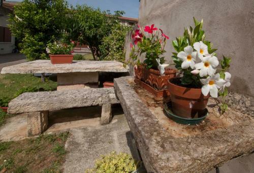 Hostal La Finestra Sul Castello