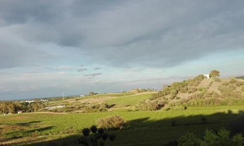 Agroturismo Agriturismo Cuccuru E Jana