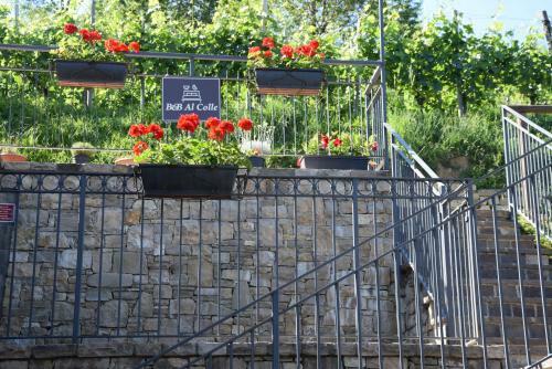 Bed & Breakfast Al-colle
