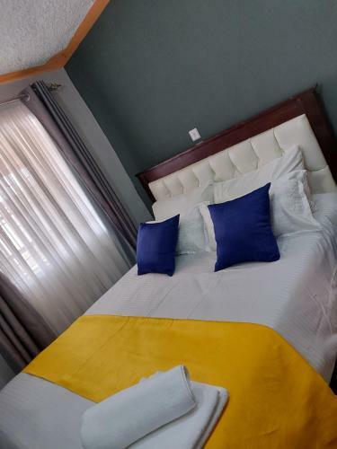 Luxury One Br With Lake Nkr View Apartment