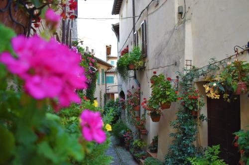 Borgo San Sisto Apartments