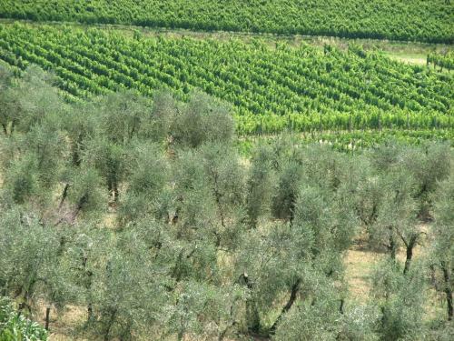 Bed & Breakfast Castello Delle Quattro Torra