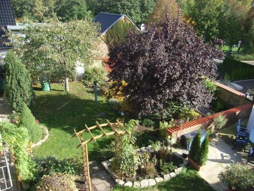 Apartamentos Ferienwohnung Am Park