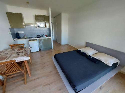 Apartamento Studio Climatis� Proche A�roport, Navette