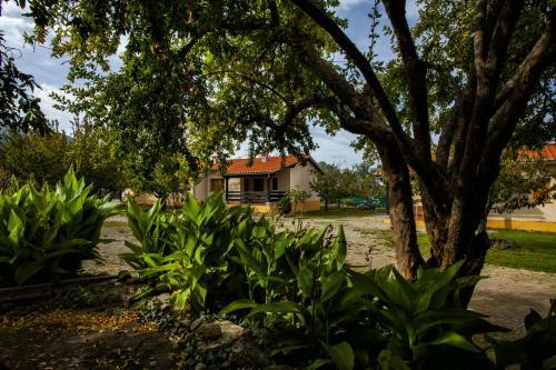 Apartamento Casas Rurales Fuente Del Aliso