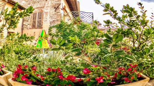 Apartamento Spoleto Bellasleeps 4spoletocar Not Necessary