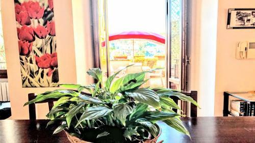 Apartamento Spoleto Bellasleeps 4spoletocar Not Necessary