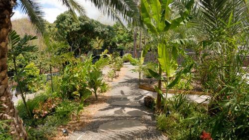 Villa � Ruisseau Lodge Dattier