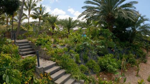 Villa � Ruisseau Lodge Dattier