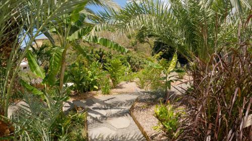 Villa � Ruisseau Lodge Dattier