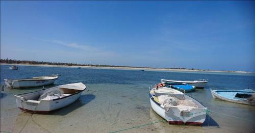 Apartamento Appartement Jolie