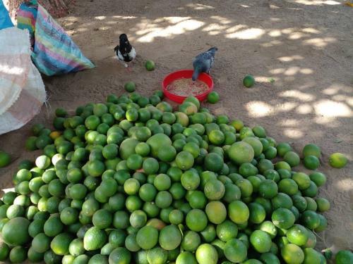 Bed & Breakfast Guest House La Majella