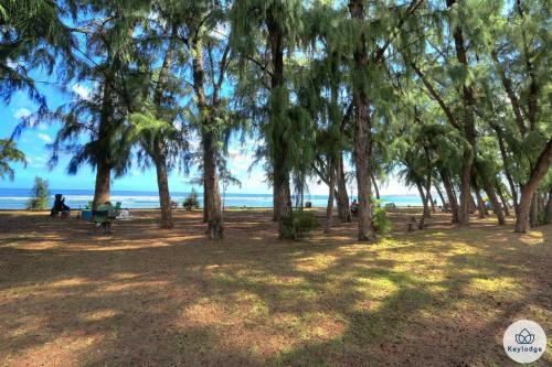 Apartamentos T2 - Cantebazi - Plage de Saint-leu