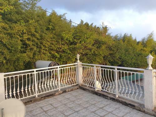 Villa Le Paradis Du Cap Des Cam�lias