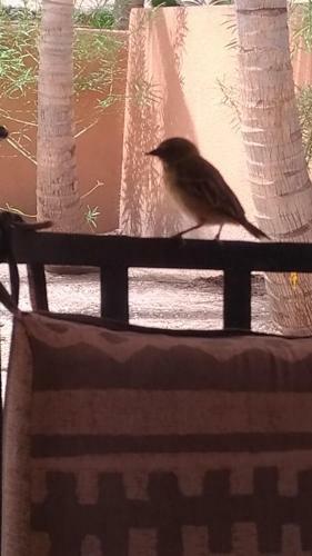 Villa De Charme Dans R�sidence De Standing