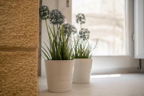 Casa Zummo Ortigia Luxury Apartment