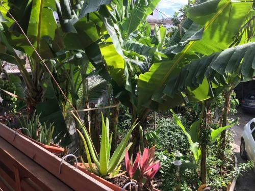 Apartamento Appartement R�sidence Beauregard