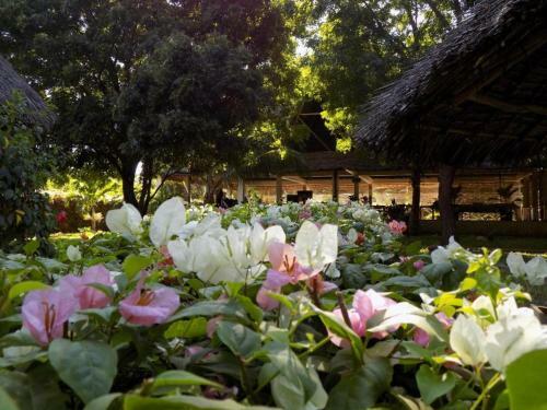 Bed & Breakfast Watamu Eco Villas