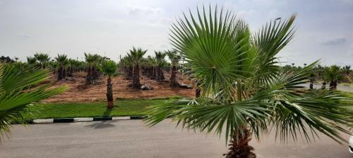 Apartamento Asilah Marina Golf Appart