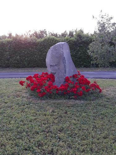 Bed & Breakfast L'orto Sul Poggio