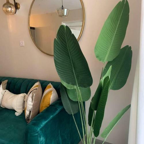 Modern 1 Bedroom Apartment. Elevated Living Royal Suburbs