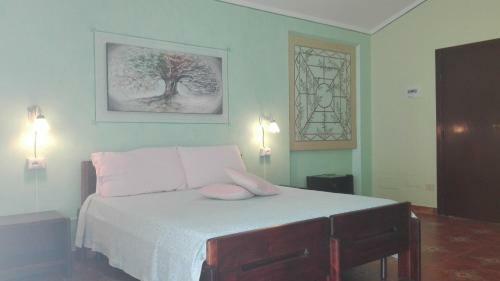 Agroturismo Agriturismo Monte Pino
