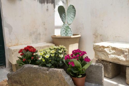 Bed & Breakfast Giardino Nascosto