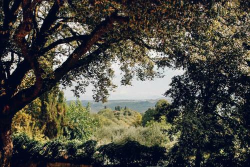 Villa Moris Bed And Breakfast